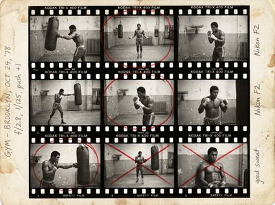 Behind the Lens: The Art of Analog Photography
