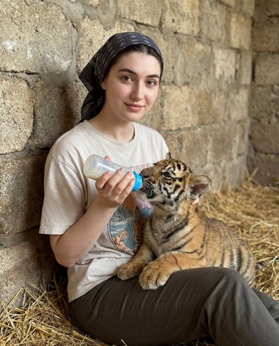 Nurturing the Future: A Tender Moment with a Tiger Cub