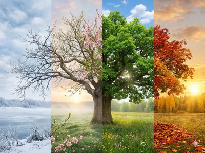 Seasons of Shanghai: A Year in One Breathtaking View