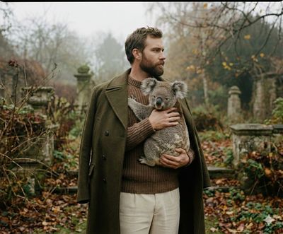 Brutal Elegance: A Koala's Embrace