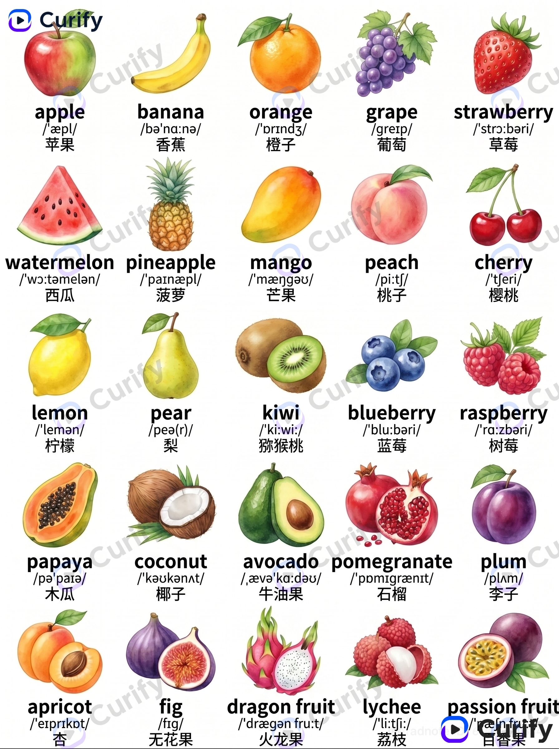 Kids vocabulary poster — fruits theme rendered as a single-wall display