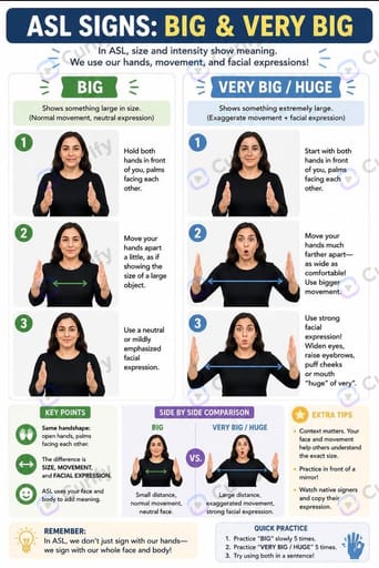 ASL Sign Language Tutorial Infographic preview 1