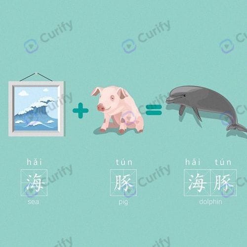 dolphin