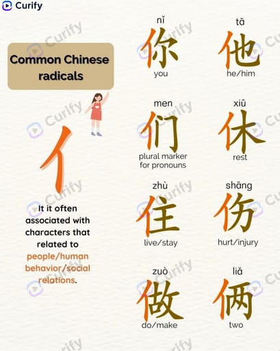 Póster de Aprendizaje de Radicales Chinos