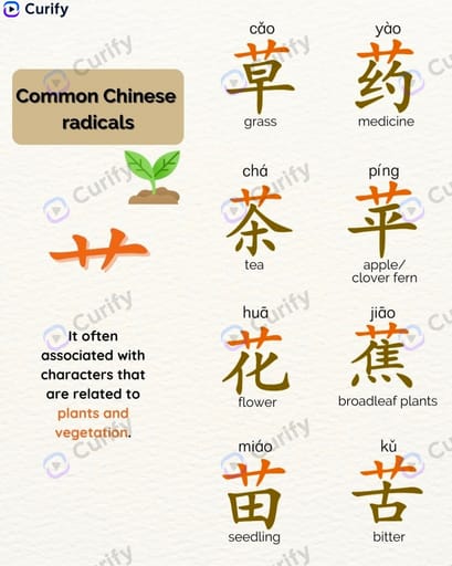 Chinese Radical Learning Poster