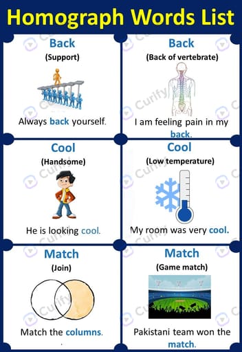 English Homograph Educational Poster