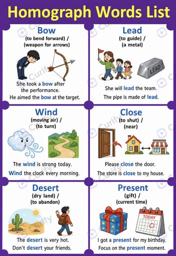 English Homograph Educational Poster