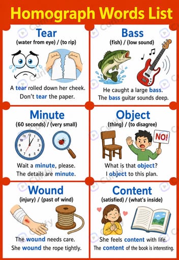 English Homograph Educational Poster