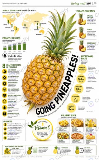 Nano Banana Prompt: Fruit Commercial Lifestyle Infographic Poster Generator | Curify AI