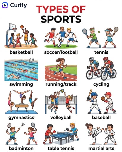 English Vocabulary Category Poster | Curify AI