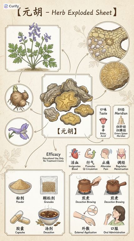 Herbal Medicine Visual Guide: Traditional Herb Posters
