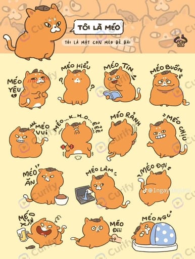 vietnamese orange cat