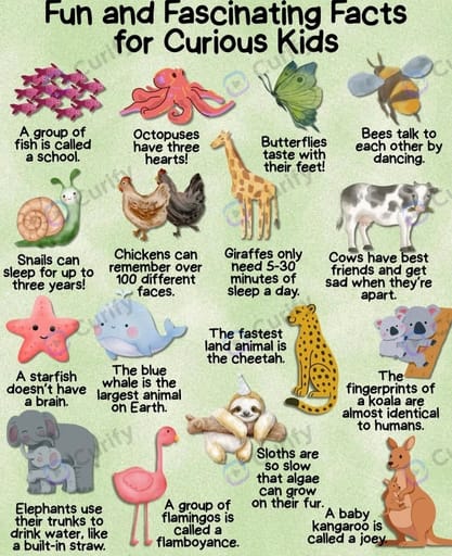 Nano Banana Prompt: Kid-Friendly Grid Fun-Fact Infographic Generator | Curify AI
