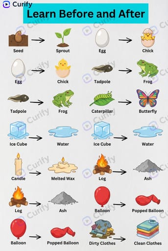 learn before and after