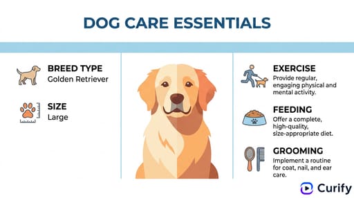 dog care essentials