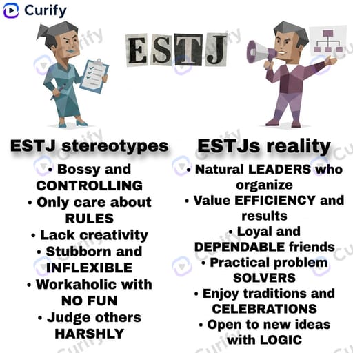 MBTI Stereotype vs Reality Infographic Generator