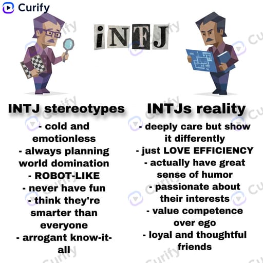 MBTI Stereotype vs Reality Infographic Generator
