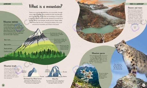 Nature Ecology Double-Page Book Spread Infographic preview 1