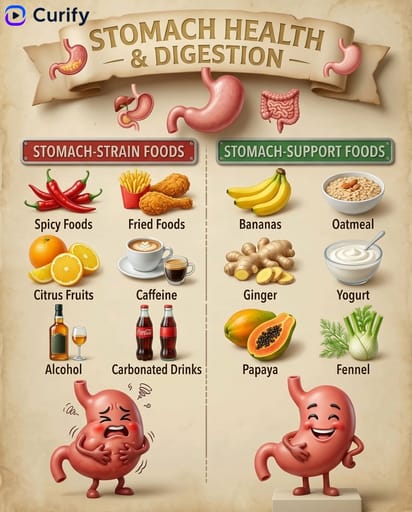 Prompt Nano Banana : Générateur de Guides Alimentaires pour Organes | Curify AI