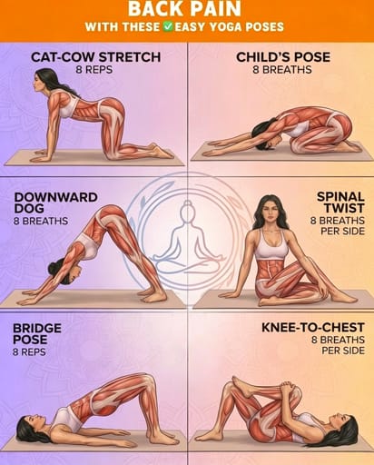 Infographies Yoga & Bien-être preview 1