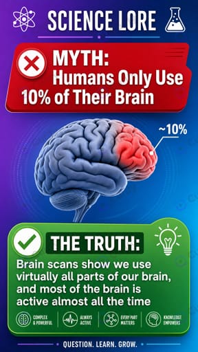Nano Banana Prompt: Science Myth-Bust Infographic Poster Generator | Curify AI