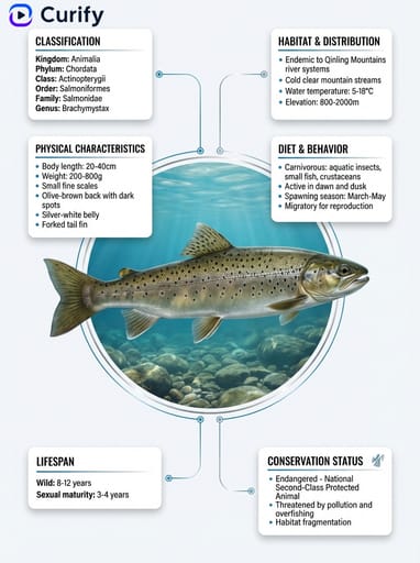 Nano Banana Prompt: Species Science Popularization Illustration Generator | Curify AI