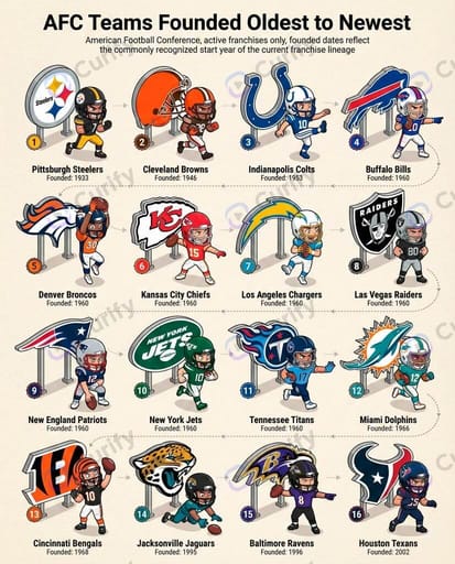 Nano Banana Prompt: Sports League Team Order Infographic Generator | Curify AI