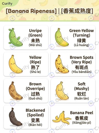 双语词汇视觉指南：多语言学习单词
