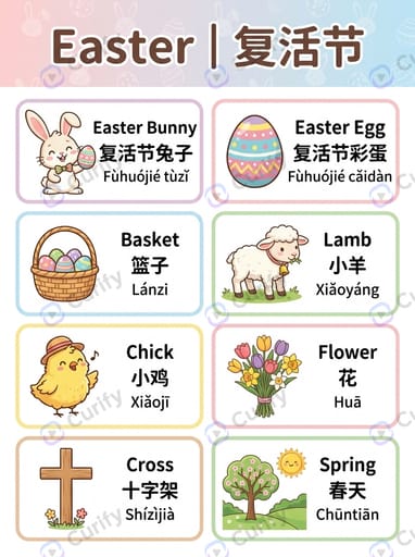 双语词汇视觉指南：多语言学习单词