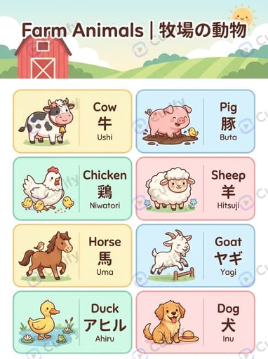 Bilingual Vocabulary Visual Guide: Learn Words in Multiple Languages