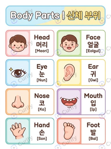 Bilingual Vocabulary Visual Guide: Learn Words in Multiple Languages