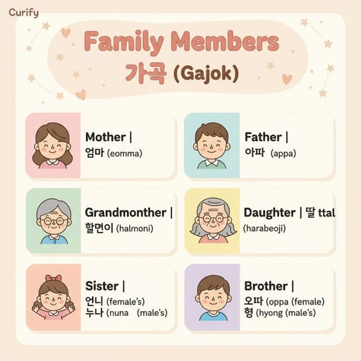 Nano Banana Prompt: İki Dilli Kelime Kartı Üretici | Curify AI