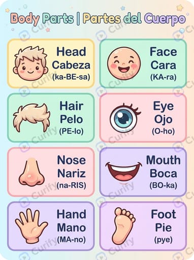 Bilingual Vocabulary Visual Guide: Learn Words in Multiple Languages