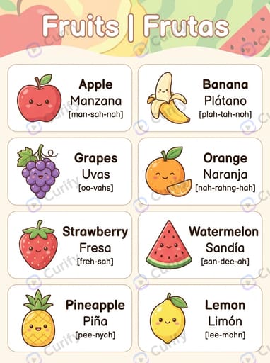 Bilingual Vocabulary Visual Guide: Learn Words in Multiple Languages