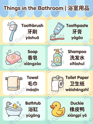 双语词汇视觉指南：多语言学习单词