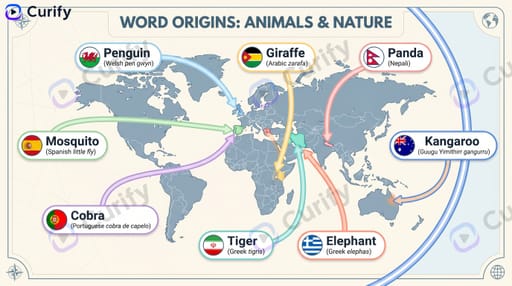 Infografía de Mapa de Orígenes de Palabras preview 1