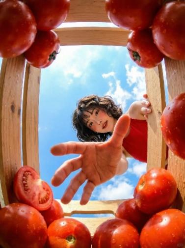 Wood Frame Tomato Surrounded Low Angle Reaching Hand Blue Sky Fresh Portrait