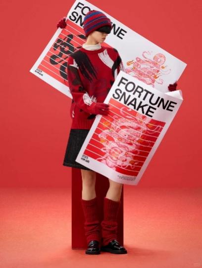 Solid Red Background Holding Dual Year-of-Snake Trend Posters New Year Knit Portrait